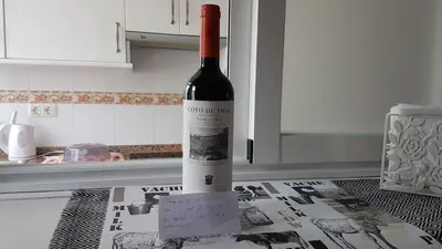 a bottle of wine sitting on top of a kitchen counter at Malva Arena in Valencia