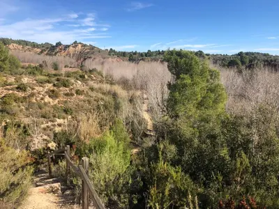 a dirt trail in a canyon with trees and bushes at Alojamiento rural con encanto in Alborache