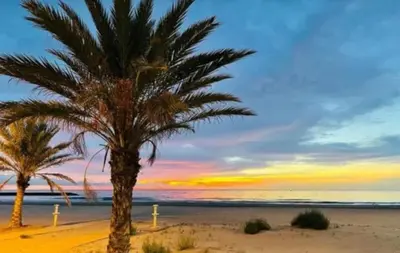 two palm trees on the beach at sunset at Sunrise Beach Apartment Playa Puerto de Sagunto in Puerto de Sagunto