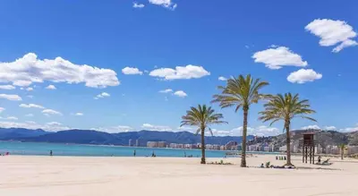 a group of palm trees on a sandy beach at Cullera Sea and Mountain Balcony in Cullera