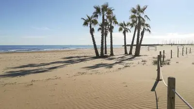 a group of palm trees on a sandy beach at A fantastic apartment on the beach in Canet de Berenguer