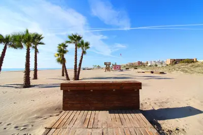a wooden bench on a beach with palm trees at Global Vacacional, Planta baja en Canet de Berenguer in Canet de Berenguer
