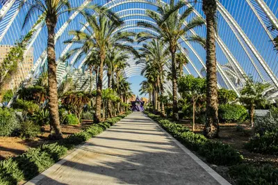 a path through a garden with palm trees at Travel Habitat - Apartamento Familiar & Espacioso de 3 Dormitorios in Valencia