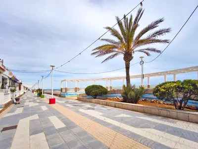 a palm tree on a sidewalk next to the ocean at Apartamento con terraza en Playa Grau de Moncofa in Moncófar