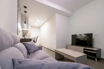 a living room with a couch and a tv at Céntrico 4 personas Ciudad Ciencias in Valencia