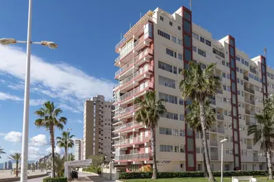 a tall building with palm trees in front of it at El Raco, C-5-10 in Cullera
