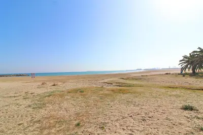 an empty beach with palm trees and the ocean at Global Vacacional, Apartamento con terraza en la playa de Puerto Sagunto in Puerto de Sagunto