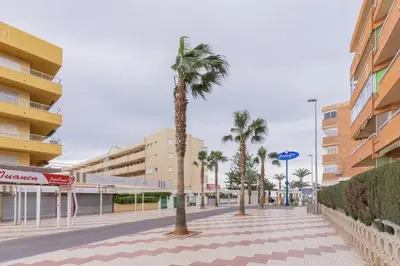 a palm tree on a sidewalk in front of a building at Fabuloso Piso Playa Canet de Bereguer Alquiler minimo 11 noches llamar al 64039uno856 in Canet de Berenguer