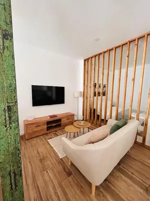 a living room with a couch and a flat screen tv at Aires de Valencia in Valencia