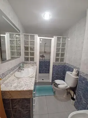 a bathroom with a toilet and a sink and a shower at piso tres habitaciones in Valencia