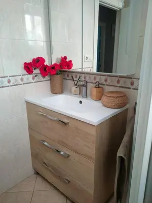 a bathroom sink with a mirror and red flowers on it at Vacansis Cullera Pintor Sorolla 2 in Cullera