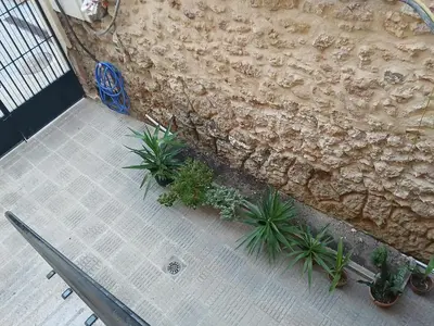 an overhead view of plants in front of a wall at San Juan in Alborache