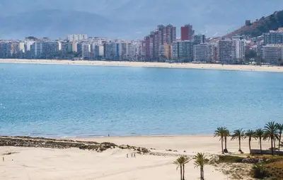 a beach with palm trees in front of a city at Lovely Apartment In Faro De Cullera in Faro de Cullera