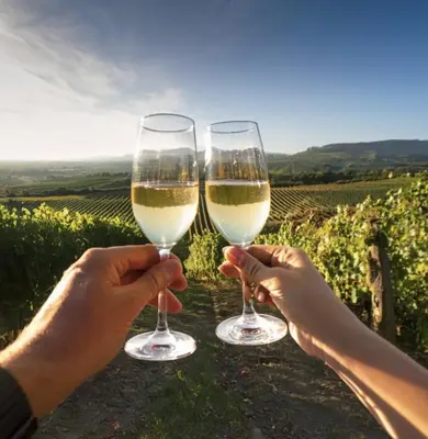 two people holding wine glasses in front of a vineyard at Doce de Colón C in Requena