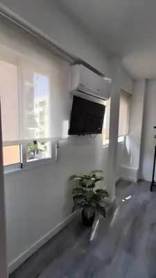 a living room with a potted plant and a tv at loft cerca del centro de Valencia in Valencia