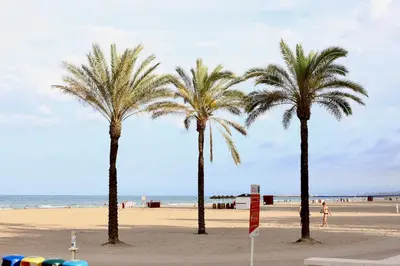 three palm trees on a beach near the ocean at Cozy Seaside Apartment in Cullera in Cullera