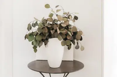 a white vase with a plant on a table at Spacious villa with private pool & garden for 4 in Partida de La Cañada