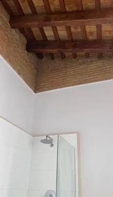 a bathroom with a shower with a wooden ceiling at Bright, charming,in the historic center in Valencia