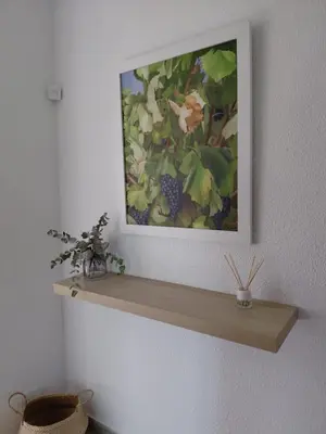 a picture hanging on a wall with a shelf at Villa Bobal in Requena