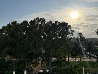 a tree in a park with the sun behind it at Apartamento turístico Playa Valencia in Valencia