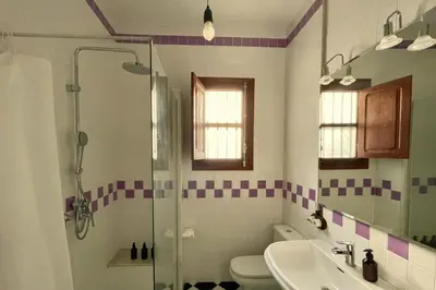 a bathroom with a shower and a toilet and a sink at Casa Salvoreta in Valencia