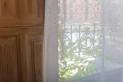 a window with a white curtain and a plant at L'Otelet By Sweet in Valencia