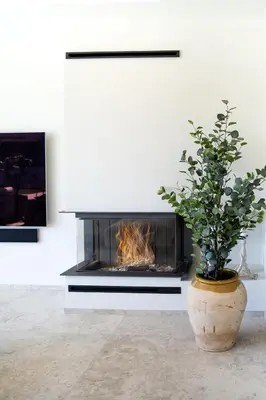 a fireplace in a living room with a plant at Villa Praya in Valencia in Bétera