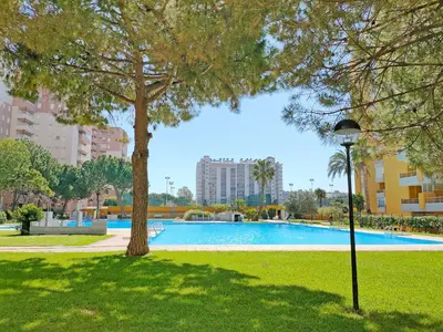 a swimming pool in a park with a tree at Global Vacacional, apartamento de una habitación en urbanización con piscina in Canet de Berenguer