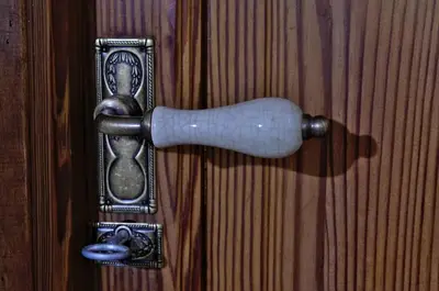 a brass door knob on a wooden door at Casa Rural 