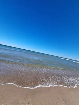 a beach with the ocean and a blue sky at De frente al mar in Sueca