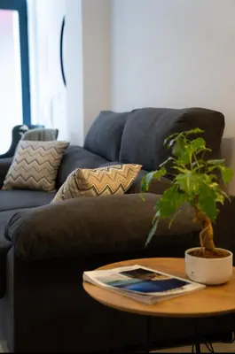 a living room with a couch and a table with a plant at Hermoso apartamento en Nazaret in Valencia