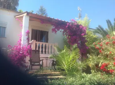 a house with flowers and a chair in front of it at Casita Ramona in Valencia