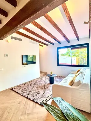 a living room with a couch and a rug at Casa Tossal in Valencia