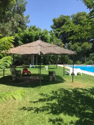 a large straw umbrella in the grass next to a pool at Ideal apartment in Náquera, Pool, Wifi in Náquera