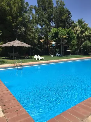 a blue swimming pool with an umbrella and trees at Ideal apartment in Náquera, Pool, Wifi in Náquera