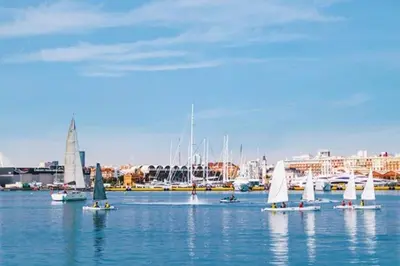 a group of sailboats on the water in a harbor at Ático Exclusivo del Siglo XVI con Terraza Privada en el Corazón de Ciutat Vella in Valencia