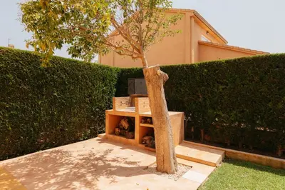 a small tree in a box next to a hedge at Charming brand-new loft with garden and pool in Pla del Pou