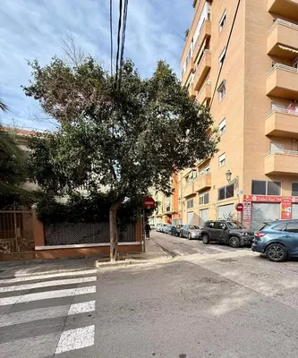 a tree on the side of a street next to a building at Loft acogedor y luminoso in Valencia