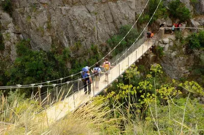 a group of people walking on a suspension bridge at Cosy Flat Catarroja in Catarroja