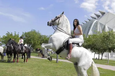 a woman riding a white horse in a park at Cosy Flat Catarroja in Catarroja