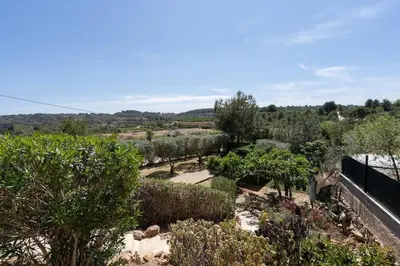 a view of a garden with trees and bushes at Tiny House Long-term en remote work near Valencia in Torrent