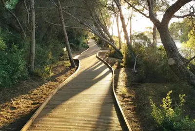a wooden path with trees on both sides of it at Triton in Mareny Blau