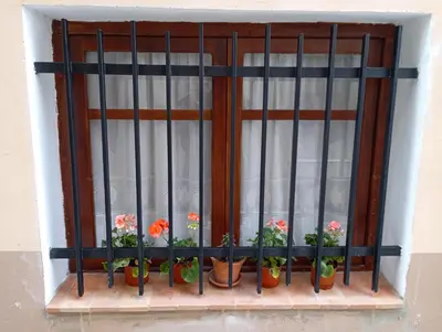 a window with a bunch of potted flowers on it at Casa La Villa in Requena
