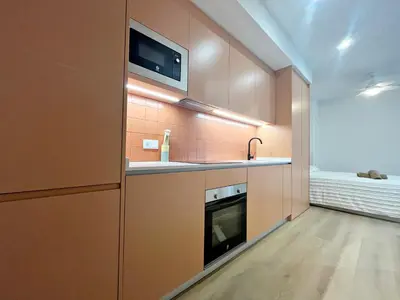 a kitchen with a sink and a stove at Loft en el Centro De Valencia Botánico 3 in Valencia