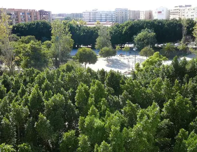 a view of a park with trees and buildings at Apartment Monfort in Valencia