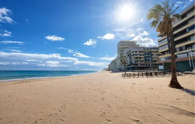 a beach with a palm tree and buildings and the ocean at Marisol Molina in Sueca