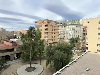 a palm tree in a courtyard in a city at Apartamento Alameda in Valencia