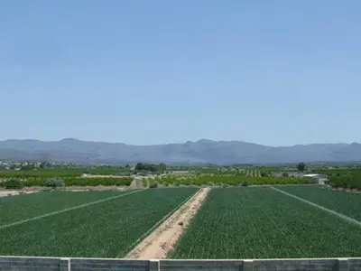 a large field of green crops with mountains in the background at Hotel Puerta de la Serrania in Lliria