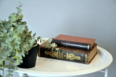 two books on a table next to a potted plant at La Casa Verde - Ruzafa in Valencia