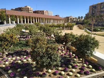 a garden with trees and flowers in front of a building at Apartment in Valencia in Valencia